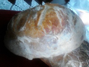 pane tipo altamura