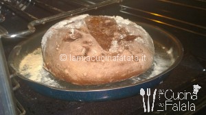 pane al cioccolato e caprese 025